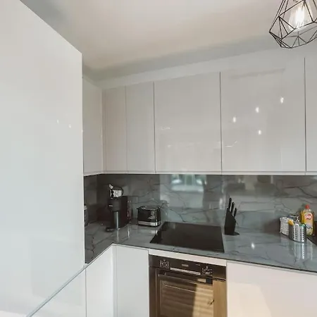 The Bridge Company Spacious Loft 74m2 公寓 *