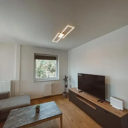 Διαμέρισμα The Bridge Company Spacious Loft 74m2 Πόζναν